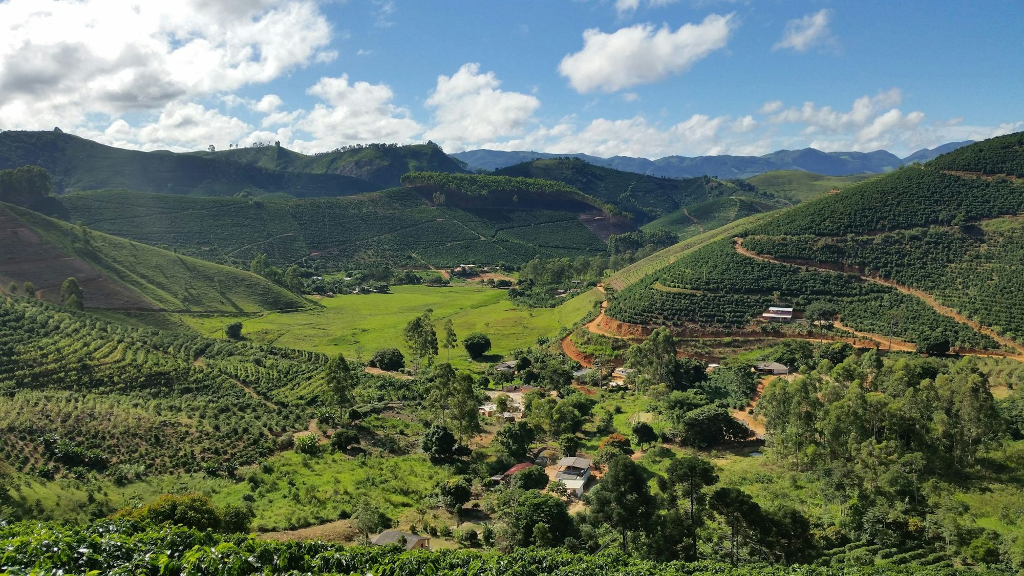 Green hills and coffee farms under a blue sky